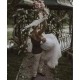 Princess Wedding Dress Bohemian Rustic Boho Civil Sweep Train Bridal Gown Sleeveless Spaghetti Strap Beach Elegant For Women Princess Wedding Dress Bohemian Rustic Boho Civil Sweep Train Bridal Gown Sleeveless Spaghetti Strap Beach Elegant For Women