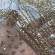 Fashion Ice Blue Gorgeous Shining Gold Glitter Sequence Mesh Sequin Lace Fabric for Evening Dress Swiss Voile Net Laces Fashion Ice Blue Gorgeous Shining Gold Glitter Sequence Mesh Sequin Lace Fabric for Evening Dress Swiss Voile Net Laces