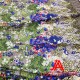 latest african laces 2019 High Quality African cord Lace Fabric For dress French tulle Lace Fabric latest african laces 2019 High Quality African cord Lace Fabric For dress French tulle Lace Fabric