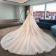 Wedding Dresses Illusion O-Neck Short Backless Sequined Beading Embroidery Tulle Lace Luxury Champagne Women Bridal Gown Wedding Dresses Illusion O-Neck Short Backless Sequined Beading Embroidery Tulle Lace Luxury Champagne Women Bridal Gown