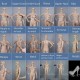 Sexy Halter Mermaid Prom Dresses V-Neck Gold Appliques Lace Evening Party Gowns African Occasion Evening Wear Custom Made Sexy Halter Mermaid Prom Dresses V-Neck Gold Appliques Lace Evening Party Gowns African Occasion Evening Wear Custom Made